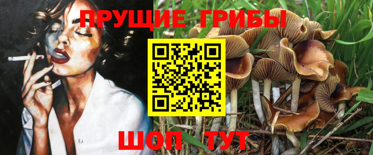 Псилоцибиновые грибы прущие грибы Мичуринск